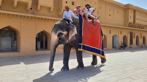 Paseo en elefante en el Fuerte Amber, Jaipur